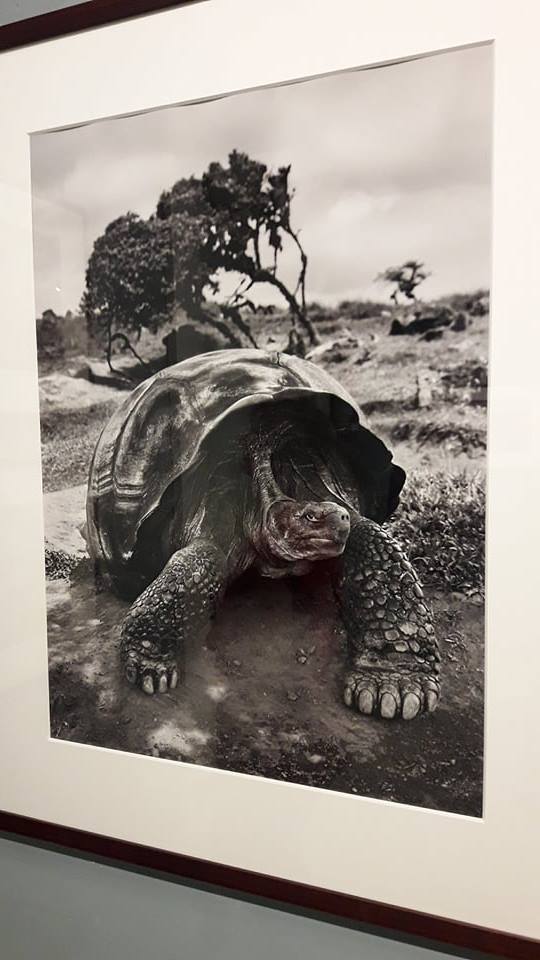 salgado the way magazine (1)