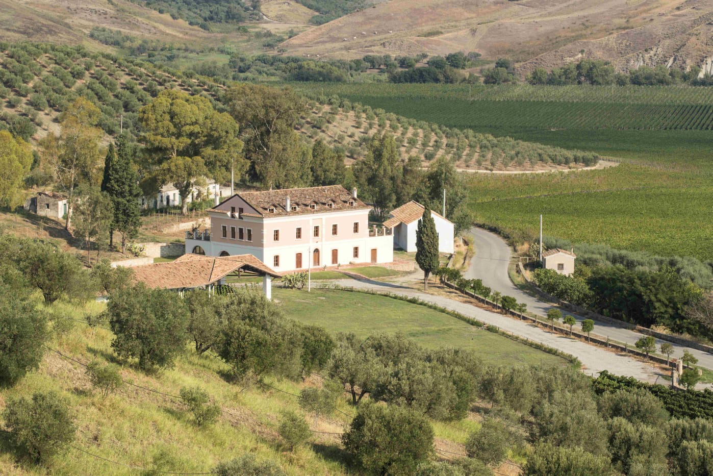 esperienza vinicola azienda Librandi