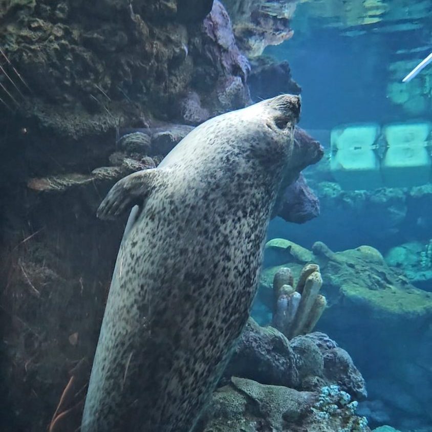 visita Acquario di Genova