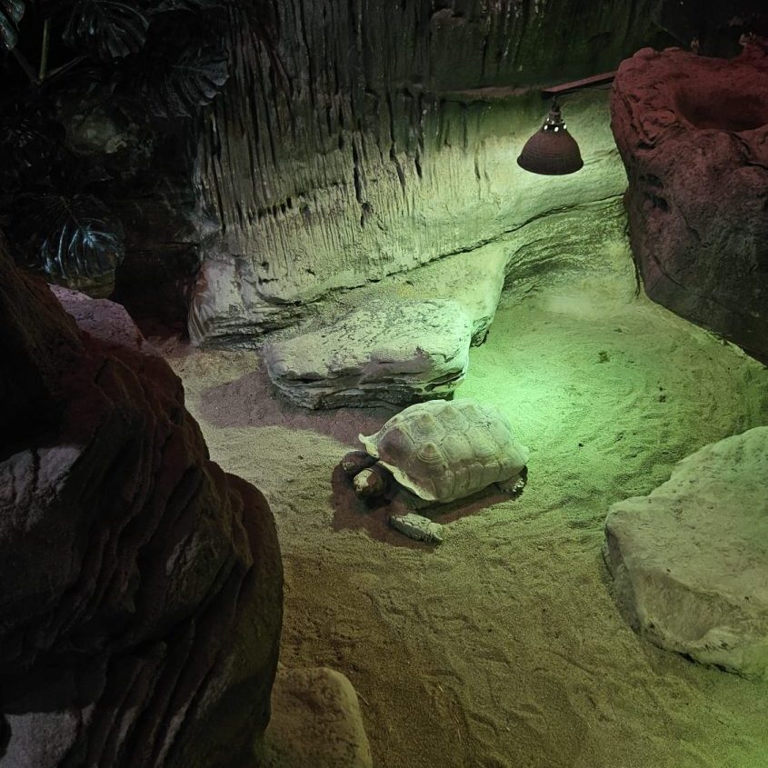 visita Acquario di Genova