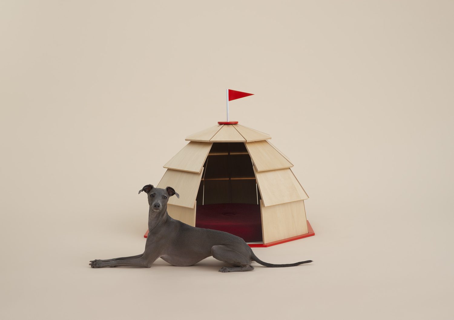 Pet-tecture