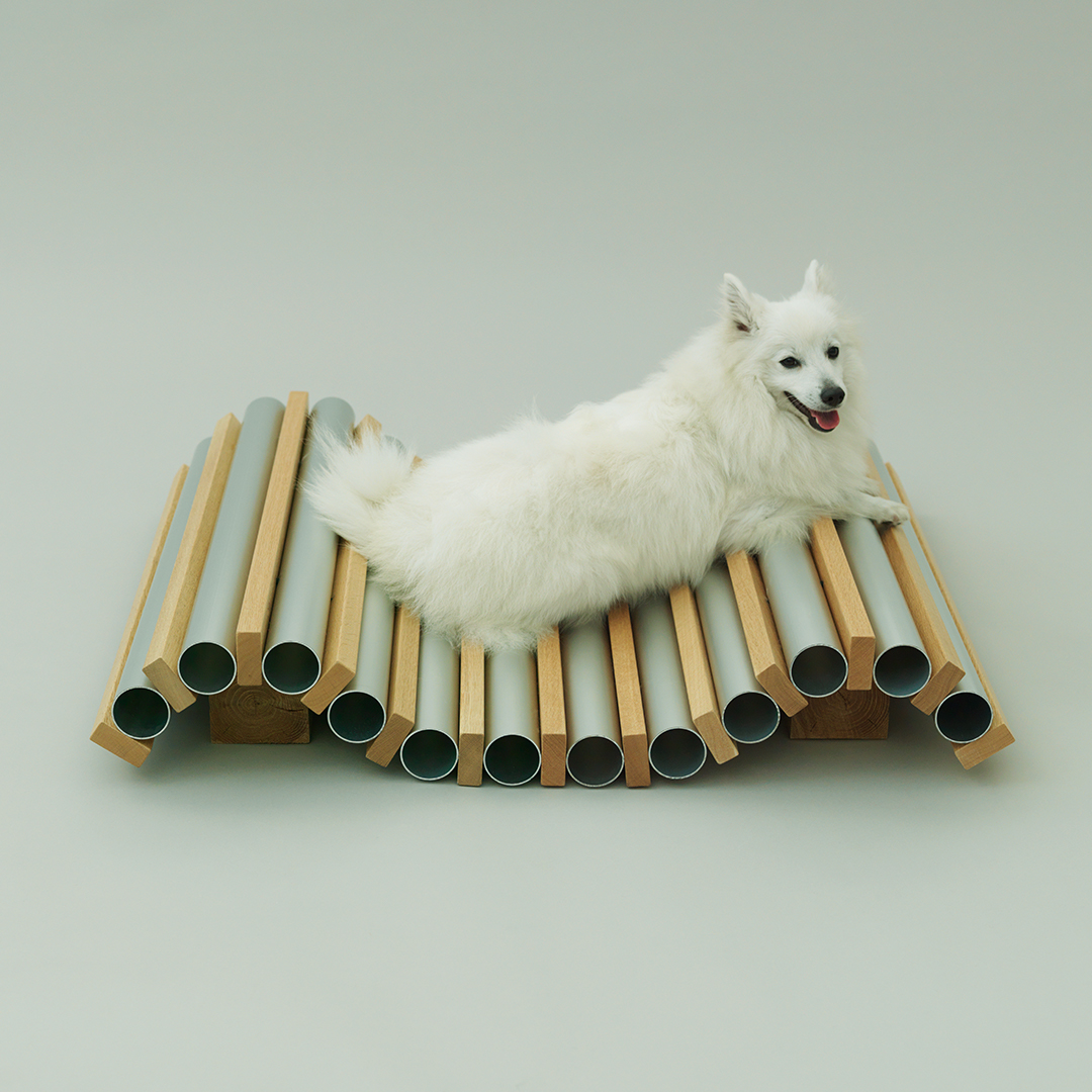 Pet-tecture