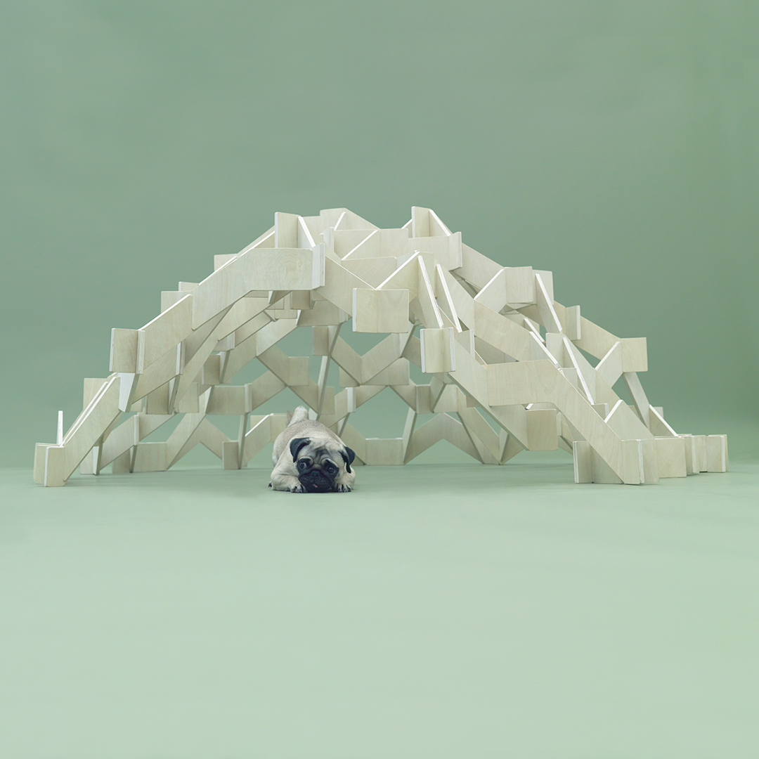 Pet-tecture
