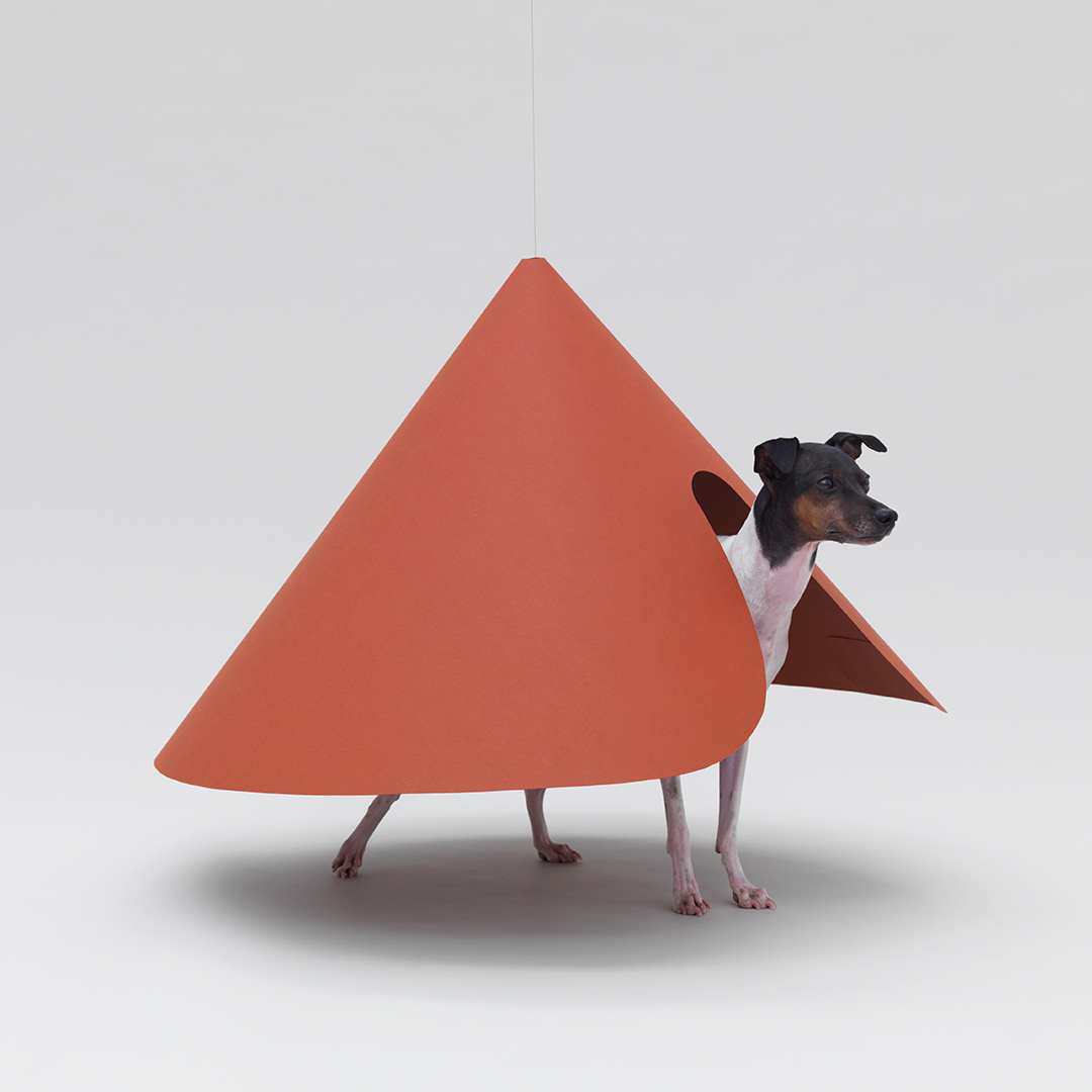 Pet-tecture