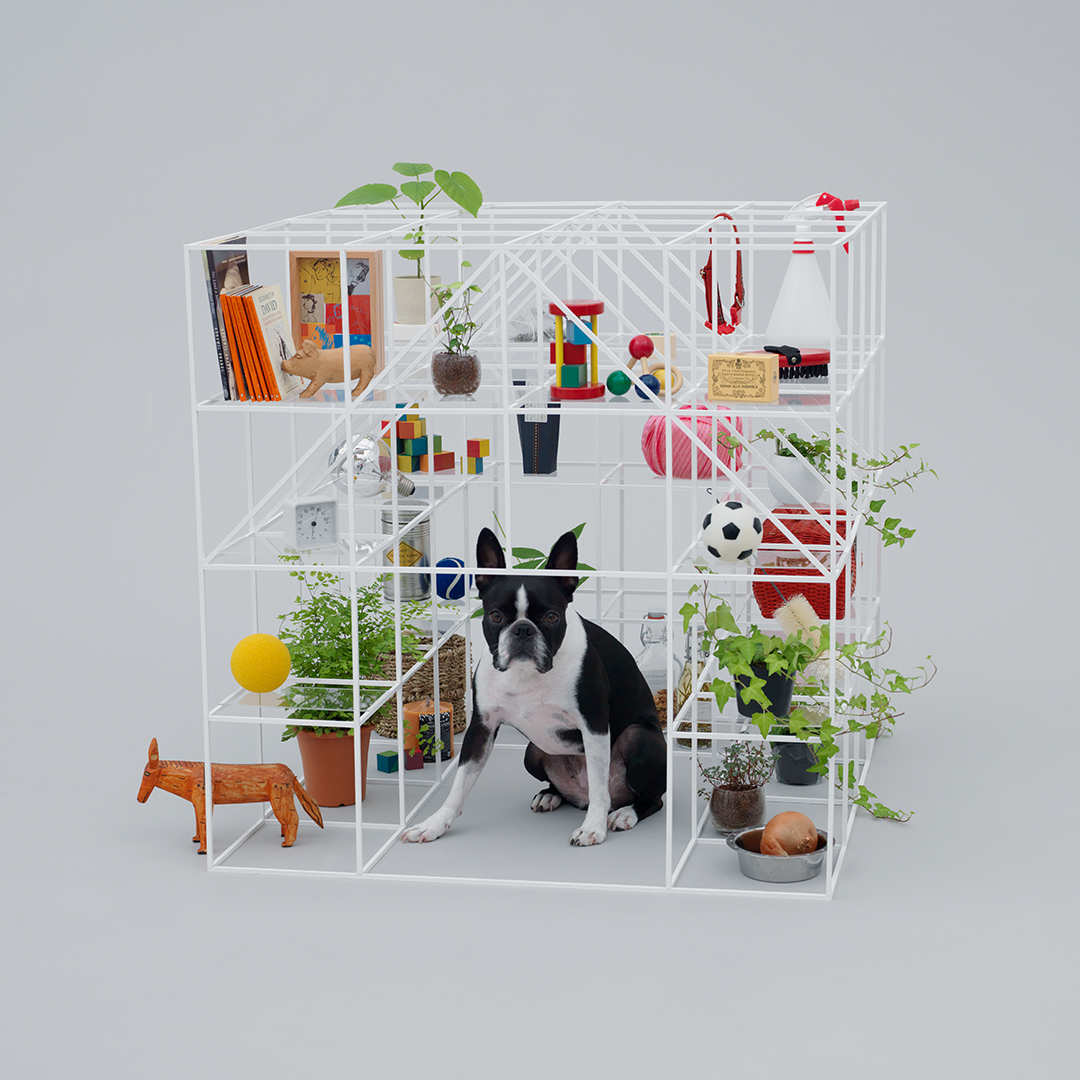 Pet-tecture