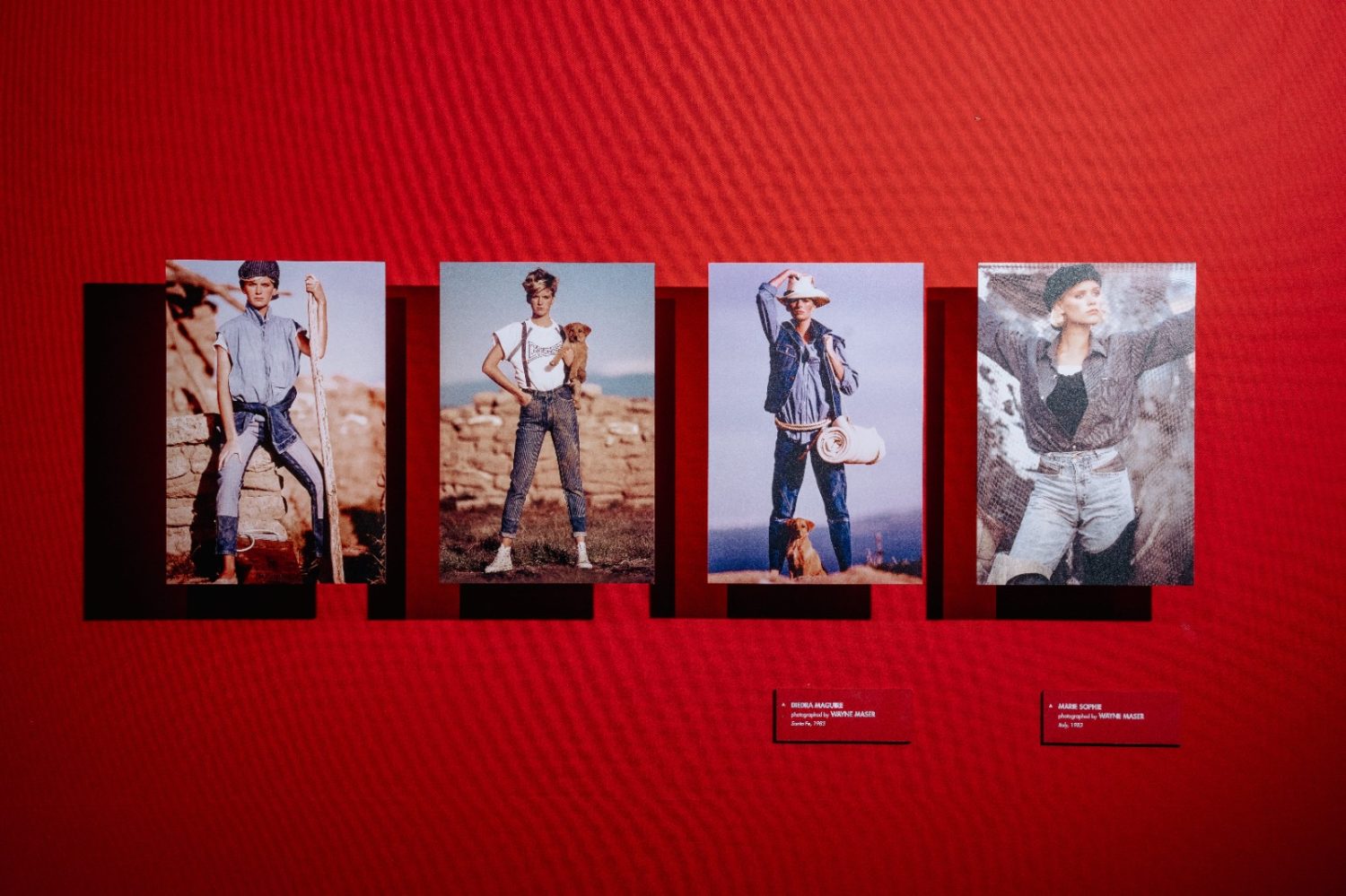 Guess mostra Diva