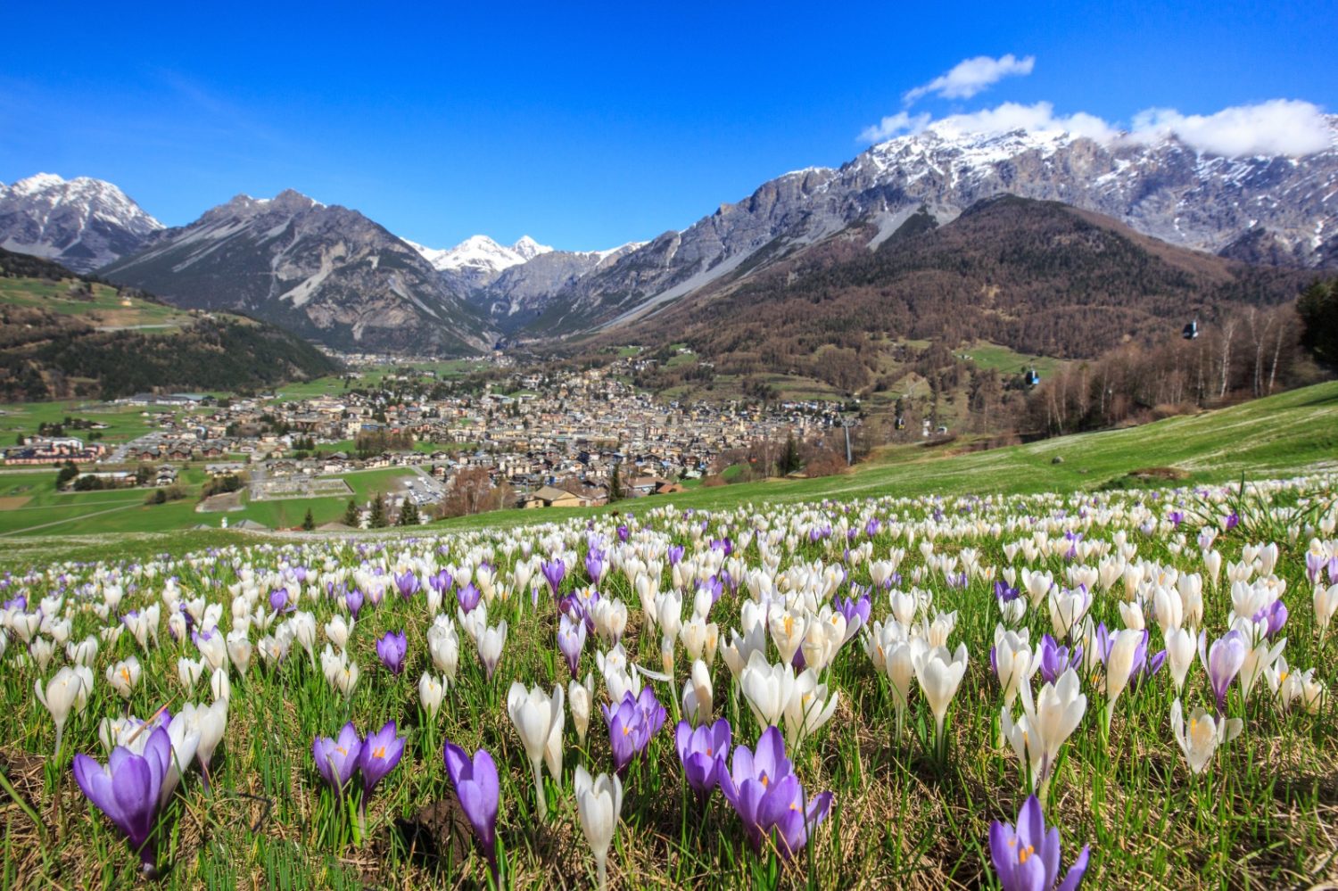 Pasqua 2025 destinazioni